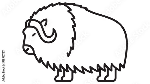 Bison outline icon in simple black line art style, shaggy fur and curved horns, minimal wild buffalo symbol isolated on white background for logo and infographic