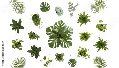 set of green leaves