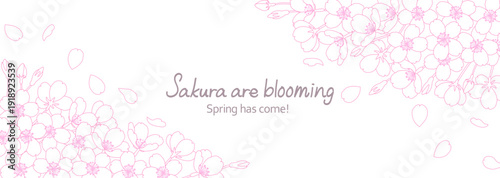 白地に繊細な線で描いた桜の花のフレームイラスト