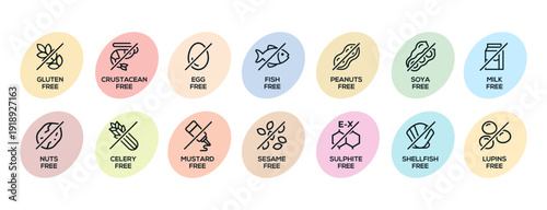 Isolated Vector Logo Set Badge Ingredient Warning Label. Cheerful and pastel colorful Allergens icons. Food Intolerance. The 14 allergens required to declare written in english