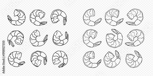 Set of Hand Drawn Shrimp and Prawn Illustrations, Perfect for Seafood Menus and Recipes.