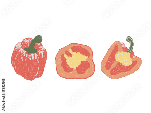 Sweet pepper whole and sliced hand drawn minimal food illustration isolated on white background