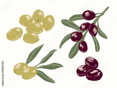 Olive branch and olives hand drawn minimal illustration set isolated on white background