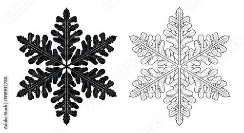 Two detailed snowflake illustrations one black one white showcasing intricate designs