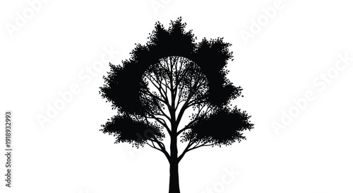 Silhouetted tree with a circular opening revealing another tree