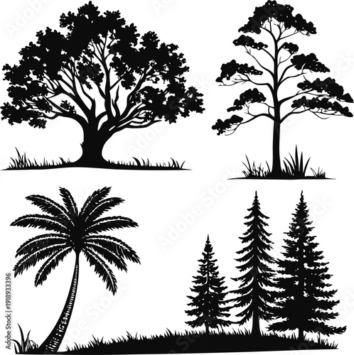 various deciduous trees silhouettes vector