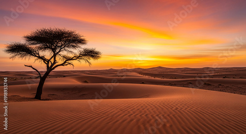 Desert scene with sand dune and tree silhouette against vibrant orange sky at sunset, representing arid landscape and natural environment