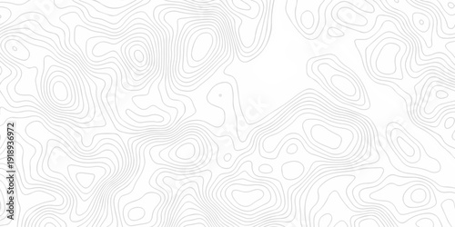 Seamless grid landscape white and gray area curve topography elevation map design. wave diagram contour stripe spiral composition discovery paper surface design.