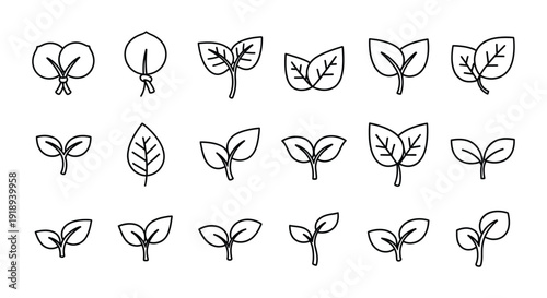 Collection of outline icons illustrating various stages of plant seedling growth and leaf development