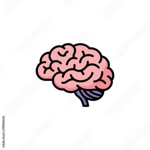 Human brain illustration with pink cortex and purple nerves