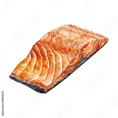 cooked salmon fillet hand drawn vector illustration