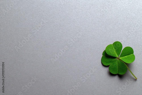 Four Leaf Clover on Glittering Gray Background for Luck and Irish Theme Saint Patrick Day