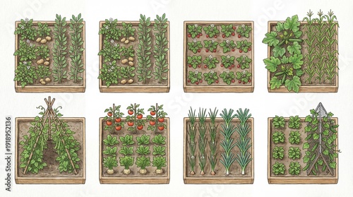 Garden beds displaying various organic vegetables and fruits growing in different configurations, illustrating a practical concept for home gardening and sustainable agriculture