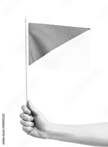 A hand holding a flag with a white background