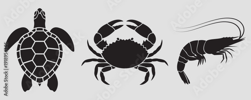 Set of sea creatures silhouettes turtle, crab, and shrimp icons