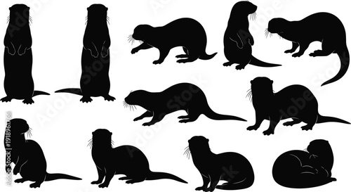 Otter silhouettes standing, sitting, walking, lying, curled, wildlife animal shapes, posture study, nature illustration, aquatic mammal vector, educational design resource
