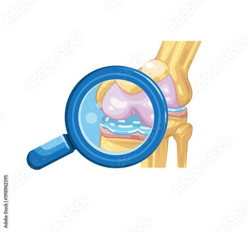 Bone and Joint Examination. Knee Joint Anatomy Examined Under Magnifying Glass
