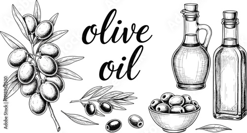 Olive oil hand drawn illustration. Vintage engraved bottles, olive branch and bowl with detailed linework. Black and white botanical food art isolated on white background.