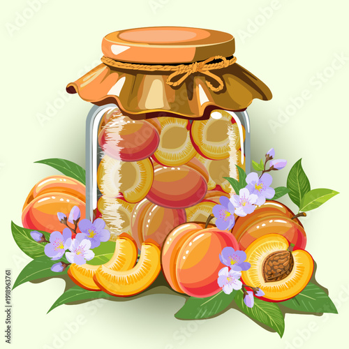 Peaches and a jar of canned fruits.Color vector illustration of fresh and canned peaches.