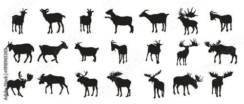Moose and goat silhouette