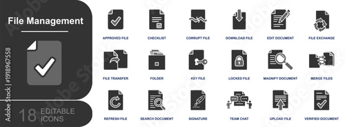 File management icon set. Containing approved, checklist, corrupt, download, upload, locked, key file, search, merge, edit, signature, folder and more. Solid fill vector icons collection.