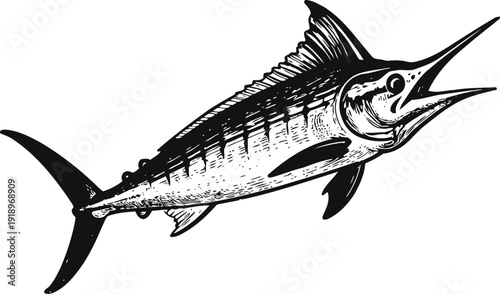 Swordfish illustration in monochrome marine animal with elongated bill and detailed body fins