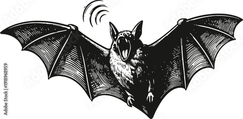 Flying bat with outstretched wings screeching in night sky halloween spooky nocturnal animal engraving illustration
