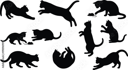 Collection of playful cat silhouettes hunting and jumping isolated on white background, domestic feline poses set illustration for pet and animal design