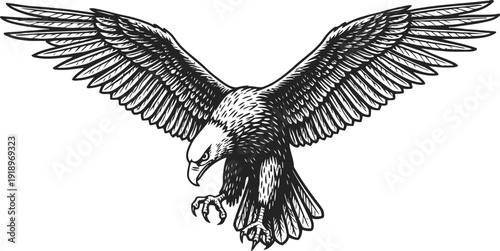 detailed eagle illustration with spread wings, sharp beak, and fierce talons in vintage