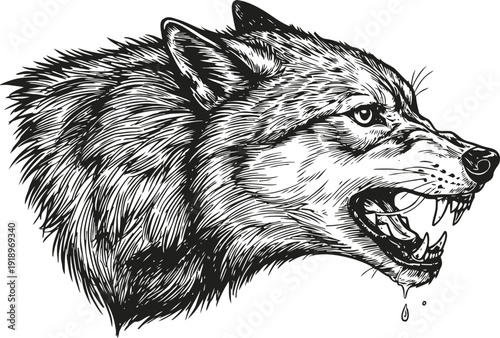 Aggressive wolf head snarling with open mouth and sharp teeth detailed black ink drawing