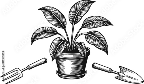 potted plant with detailed leaves and gardening tools fork and trowel black and white illustration