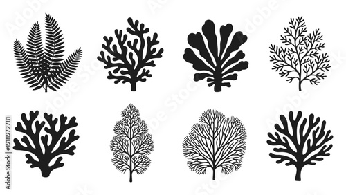 Collection of Black Silhouettes of Various Plants and Corals