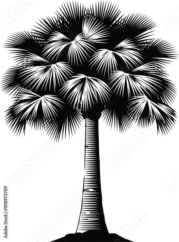 Palm Tree Silhouette Tropical Vector Illustration