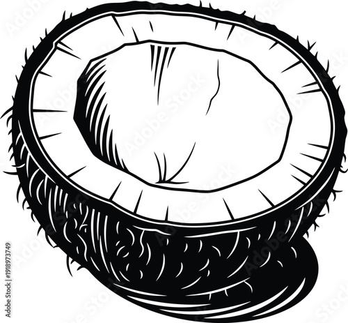 Coconut Half Detailed Engraving Vector Illustration