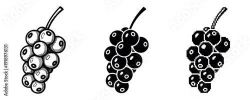 Stylized illustrations of grape bunches in varied artistic styles