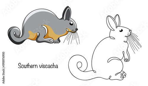 Southern viscacha