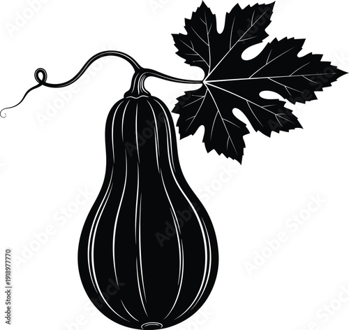 Hanging Gourd on Vine Botanical Silhouette Vector
