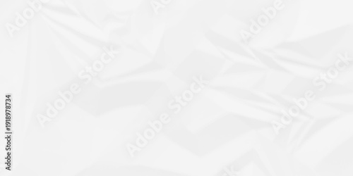 Creased paper parchment white blank page detail wrinkle blank white canvas. old paper crumple texture wrinkle. parchment empty letter texture.