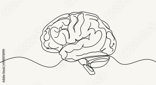 A minimalist line art illustration of a human brain on a neutral background symbolizing intelligence, thoughts, and cognitive processes