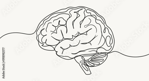 Continuous line drawing of a human brain, representing thought processes and cognitive functions in minimalist art style