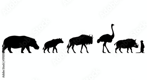Black and white silhouette illustration of African savanna wildlife including a hippopotamus hyena wildebeest ostrich warthog and meerkat