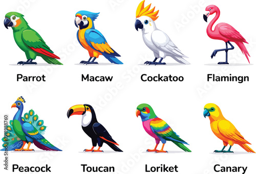 set of colorful parrots