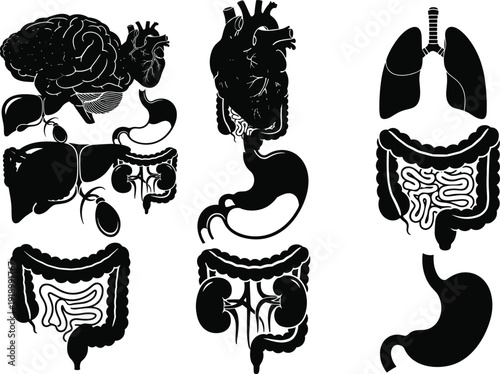 Cow head silhouette icon set with horns and third eye symbol, black and white tribal farm animal logo collection isolated on white background.