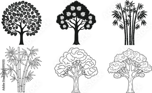 Tree and bamboo silhouette collection with detailed foliage natural forest plants botanical vector illustration set