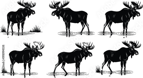 Moose silhouettes set showing majestic elk standing and walking in water with ripples, wilderness wildlife animals in black and white vector illustration