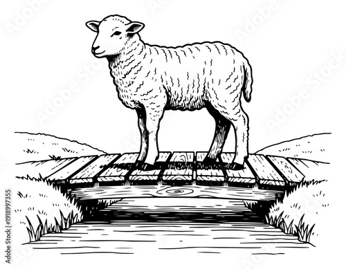 Detailed woodcut illustration of a sheep standing on a wooden bridge in a peaceful landscape