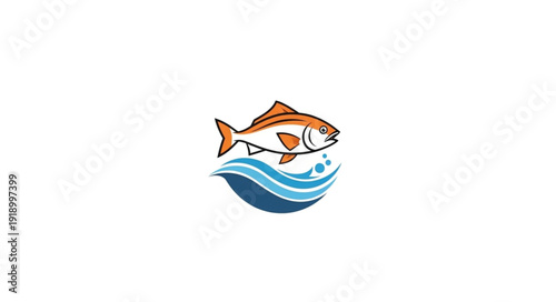 Salmon Fish Swimming in Water.