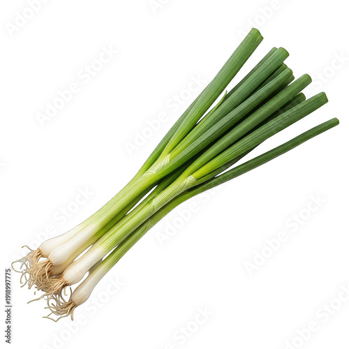 Fresh Green Onions Scallions Bunch with Roots, Healthy Cooking Ingredient, cut-out image