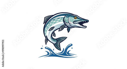 Salmon Fish Leaping Out Water.