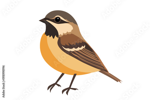 Vector illustration of a small brown and orange bird isolated on white background. Flat cartoon style bird icon for nature and wildlife design.